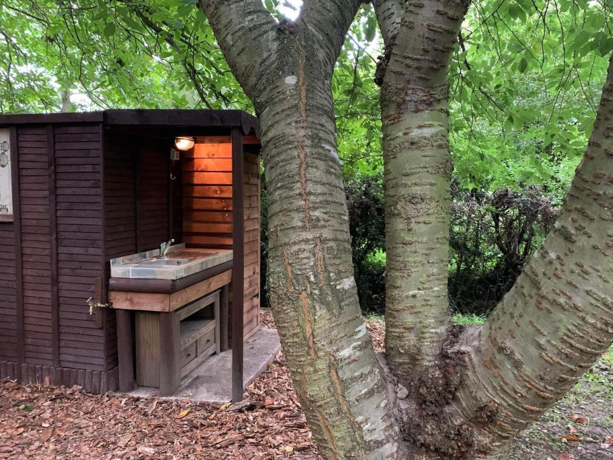 Starry Meadow & Rescued Animal Experiences Villa Great Yarmouth Eksteriør bilde
