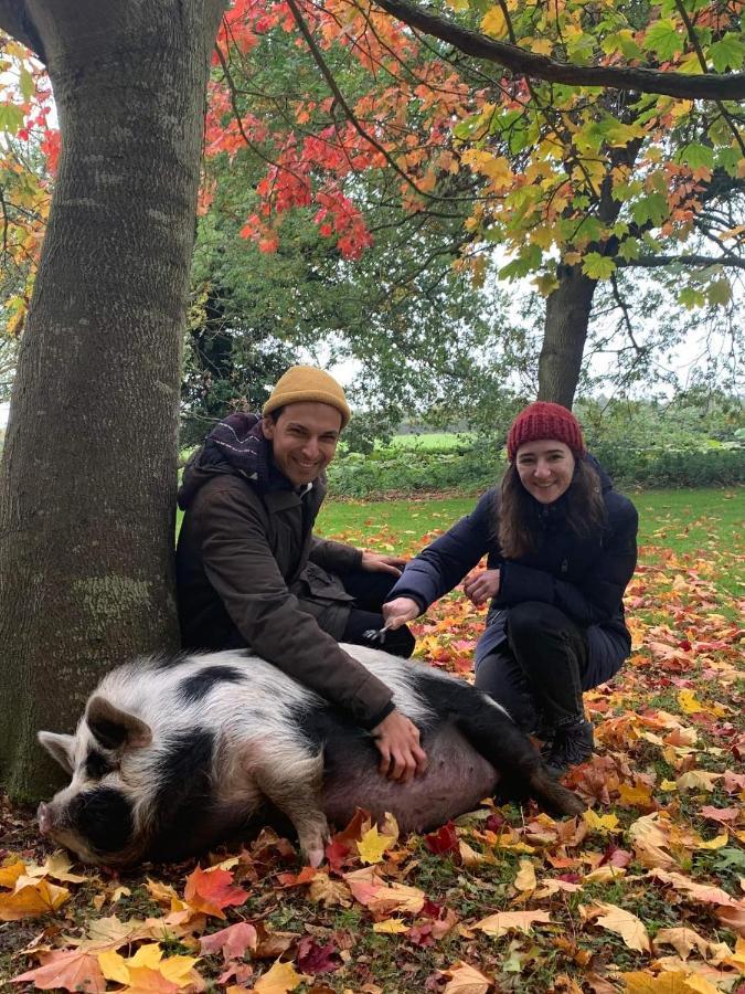 Starry Meadow & Rescued Animal Experiences Villa Great Yarmouth Eksteriør bilde