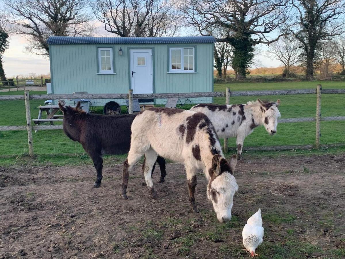 Starry Meadow & Rescued Animal Experiences Villa Great Yarmouth Eksteriør bilde
