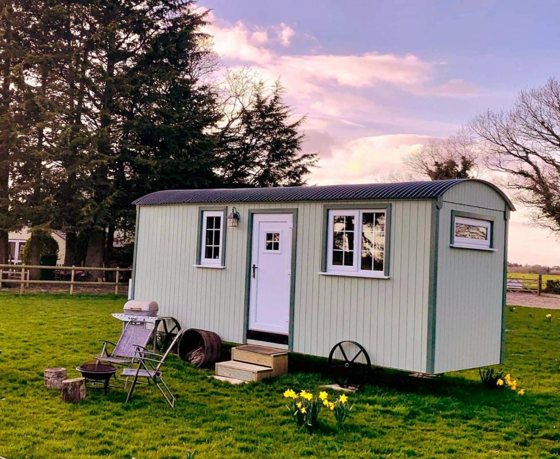 Starry Meadow & Rescued Animal Experiences Villa Great Yarmouth Eksteriør bilde