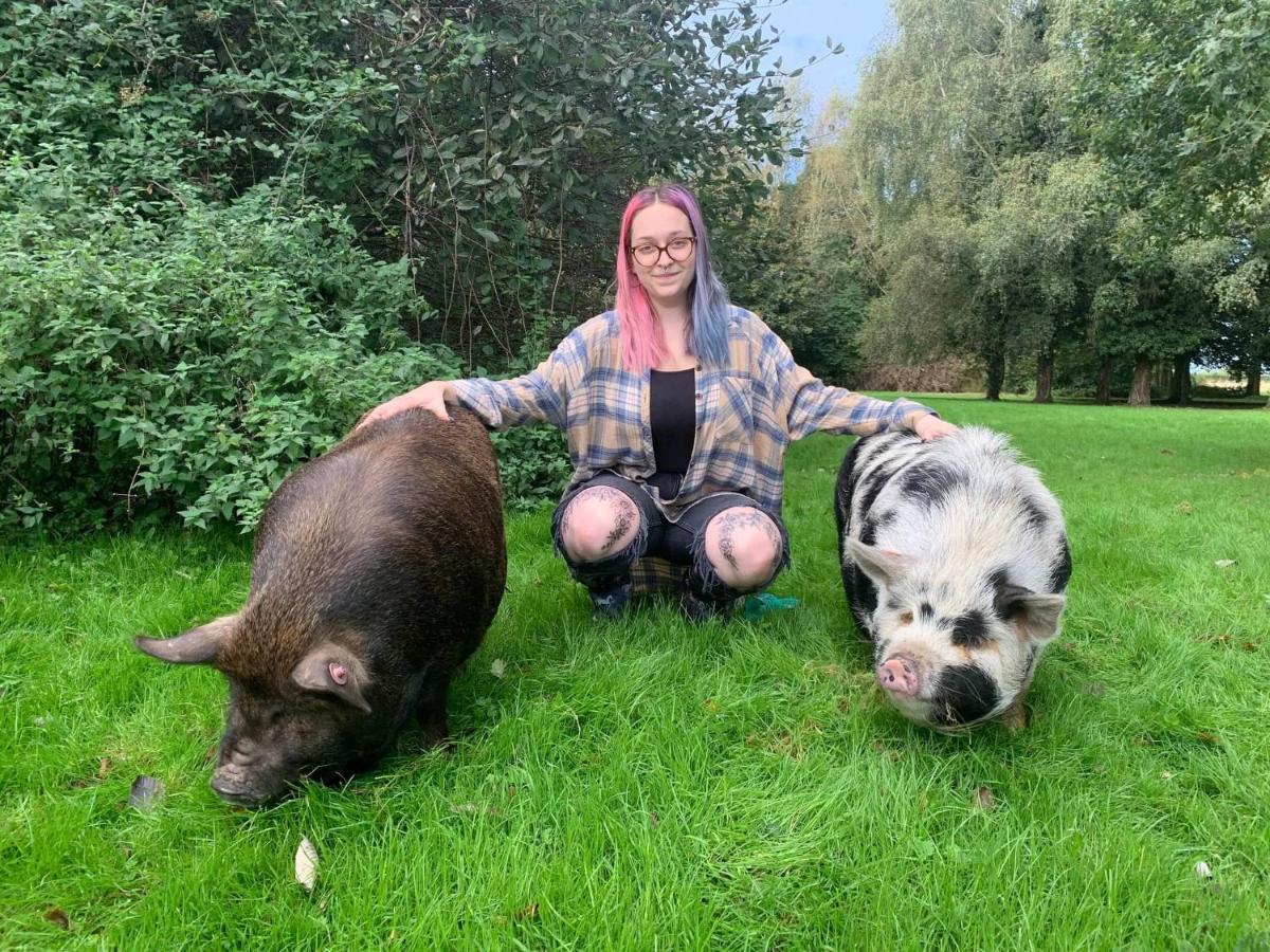 Starry Meadow & Rescued Animal Experiences Villa Great Yarmouth Eksteriør bilde
