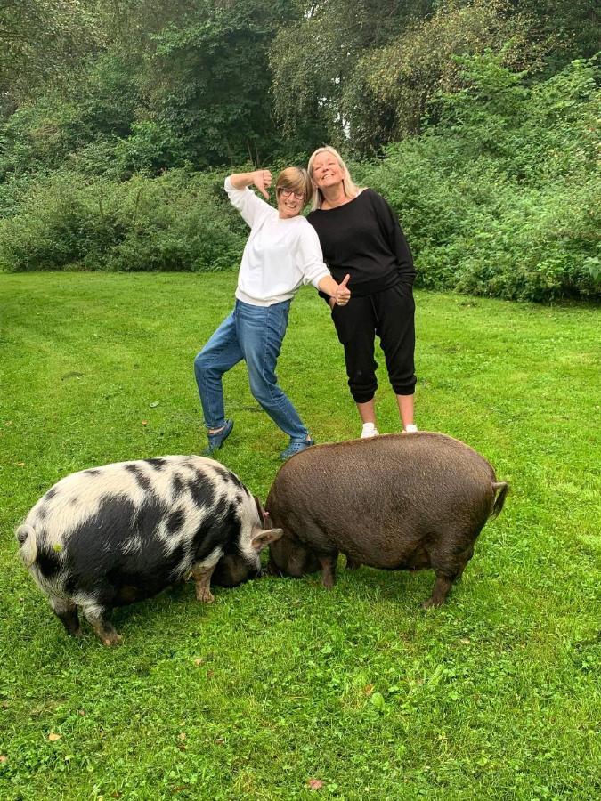 Starry Meadow & Rescued Animal Experiences Villa Great Yarmouth Eksteriør bilde
