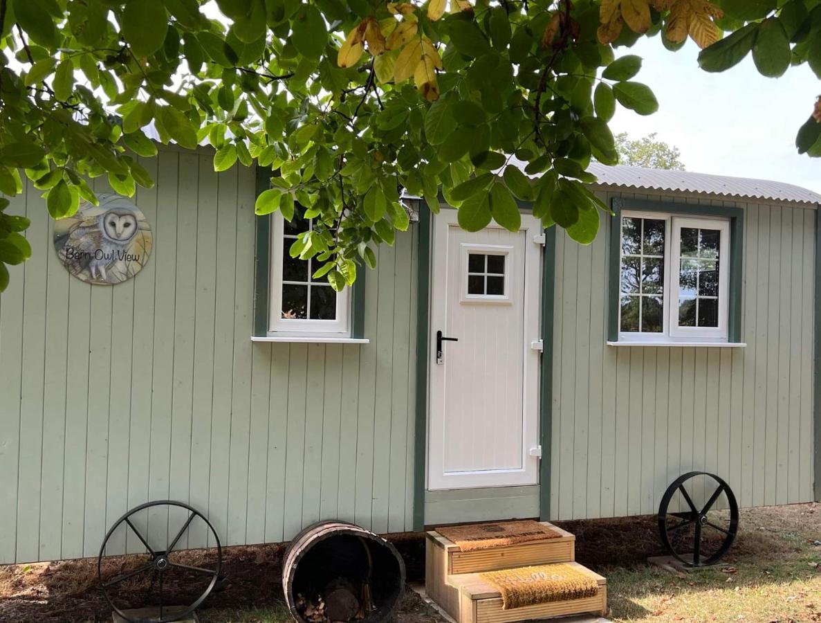 Starry Meadow & Rescued Animal Experiences Villa Great Yarmouth Rom bilde