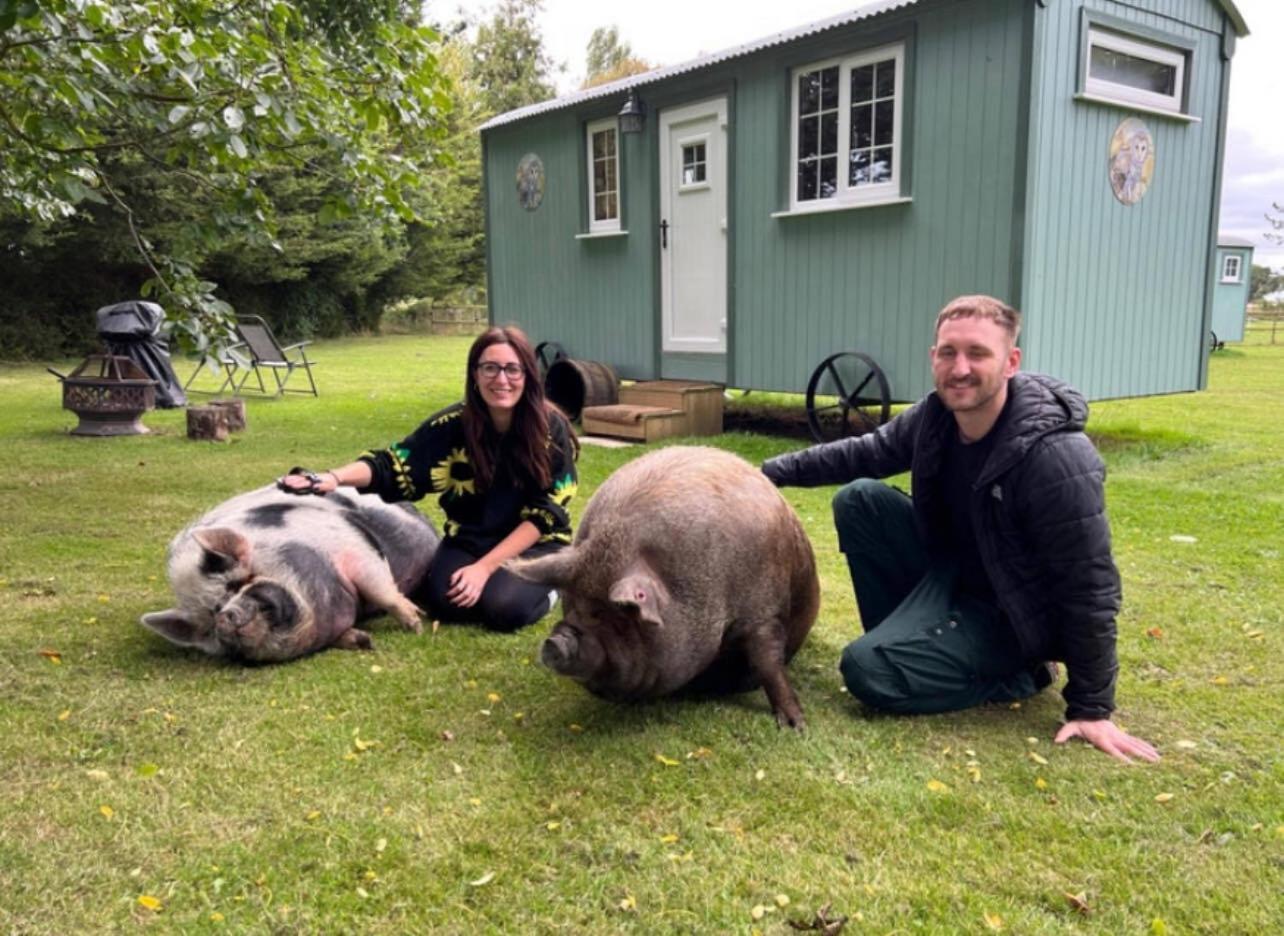 Starry Meadow & Rescued Animal Experiences Villa Great Yarmouth Eksteriør bilde