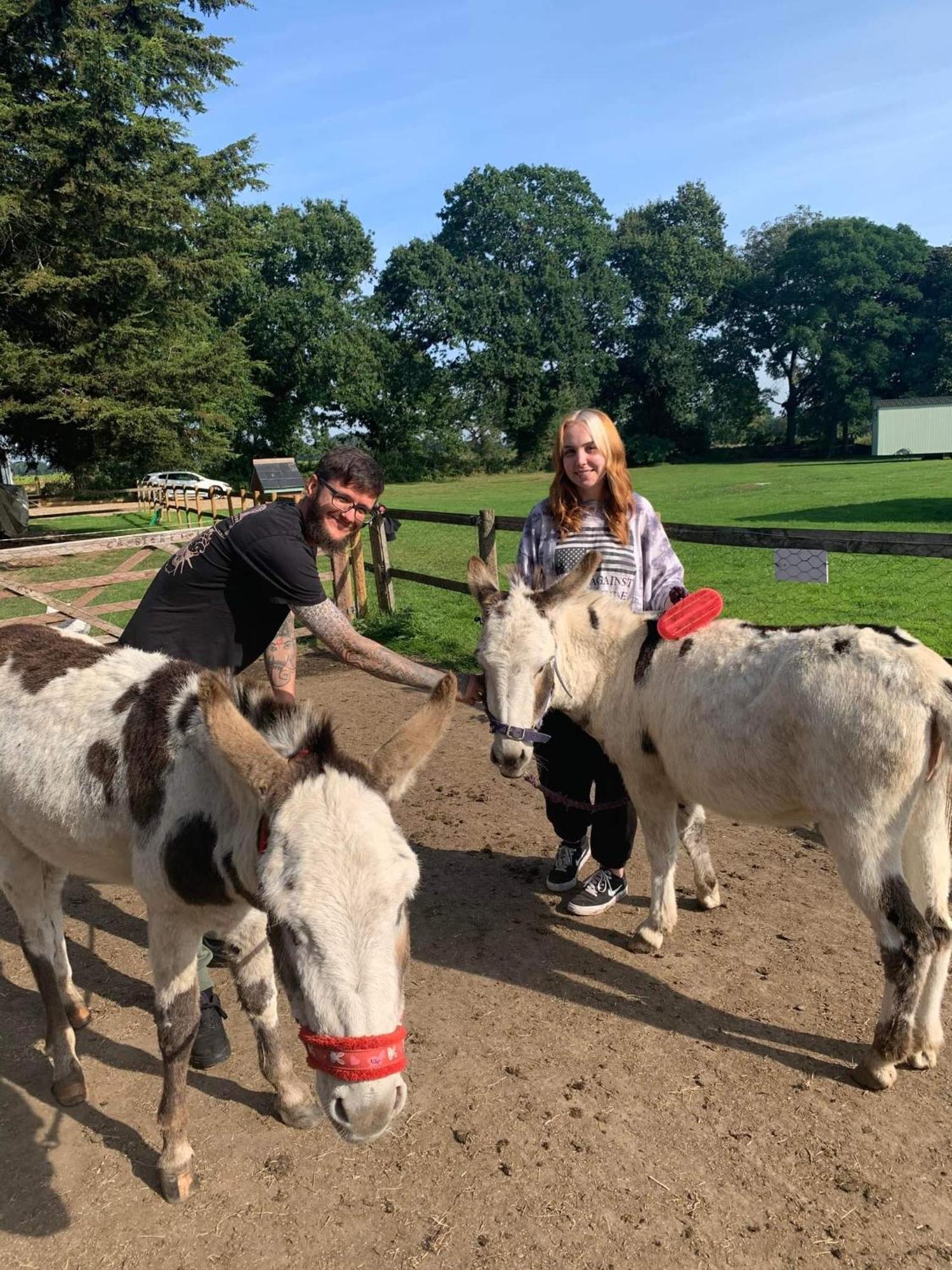 Starry Meadow & Rescued Animal Experiences Villa Great Yarmouth Rom bilde