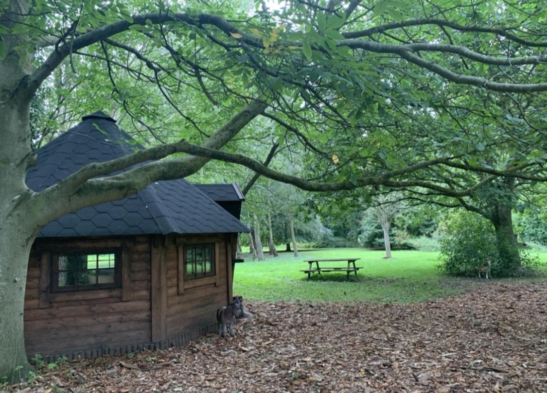 Starry Meadow & Rescued Animal Experiences Villa Great Yarmouth Eksteriør bilde
